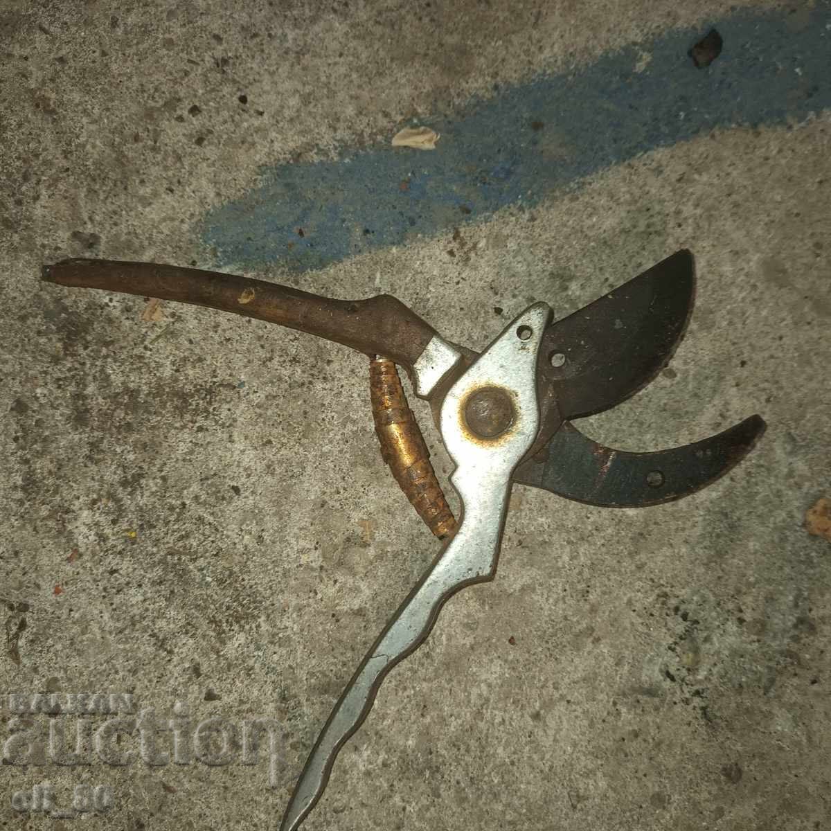 ψαλίδια αμπέλου