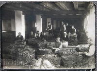 Стара снимка балиране на тютюн