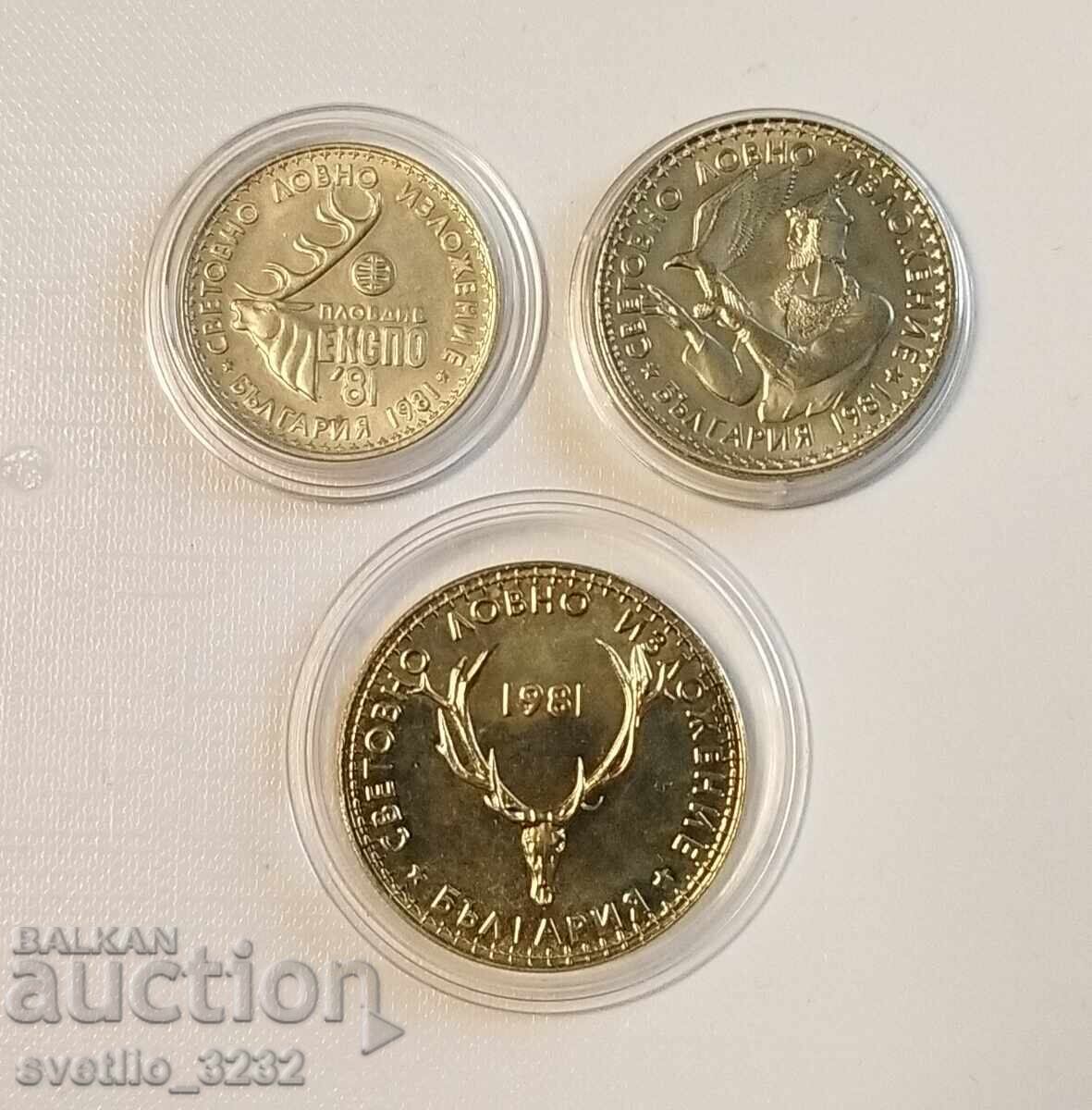 Λοτ 1981 Έκθεση Κυνηγιού Γκλαντς