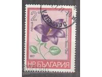 БЪЛГАРИЯ  печат           482 18