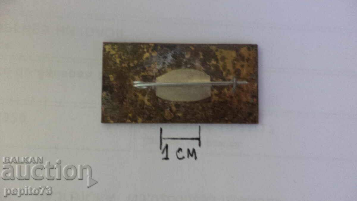 Доставка на Значка Германия Немско,Съветска дружба Доставка на Значка Германия Немско,Съветска дружба