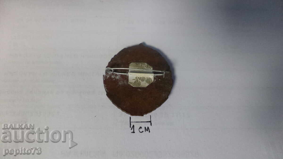 Παράδοση Μετάλλιο, παράσημο, κονκάρδα Κόκκινη Σημαία της Εργασίας