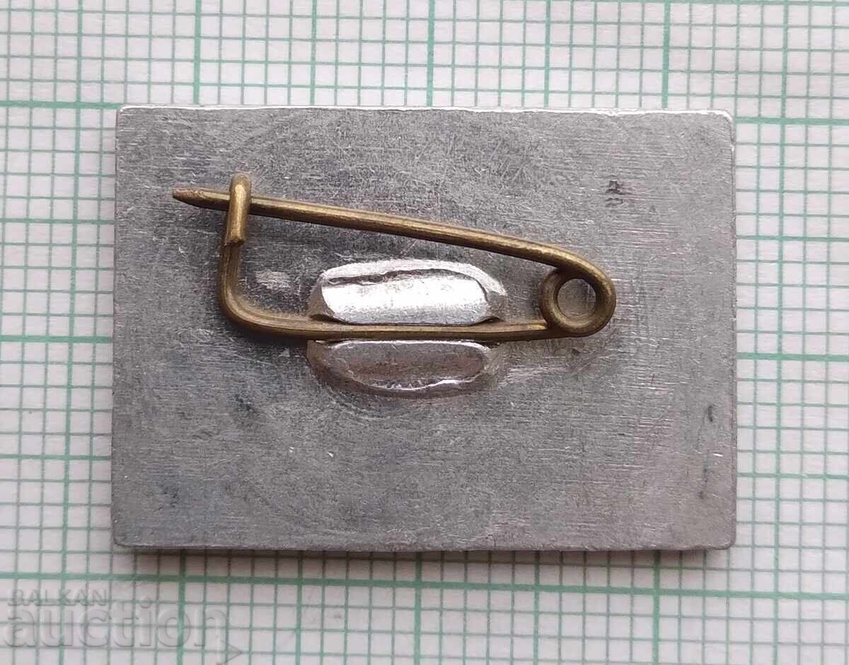 Licitație 19411 Insigna - Batak 1976