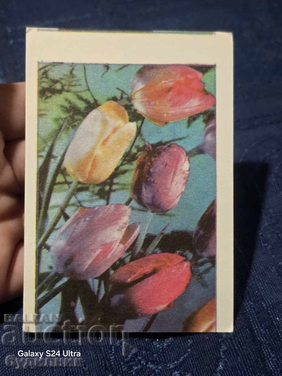 Старо календарче. 1978г. Пускам над 200 календарчета. БЗЦ. Р