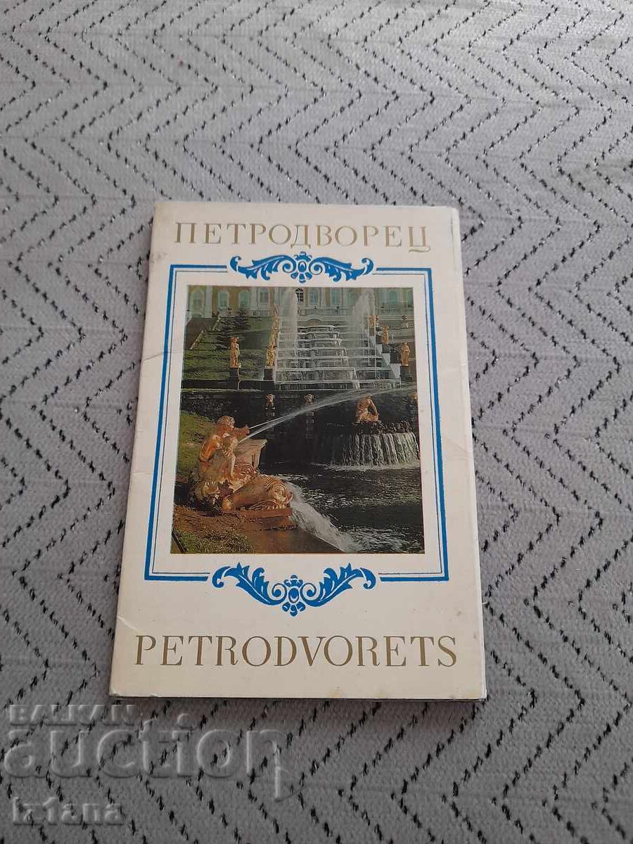 Star Prospect Petrodvorets