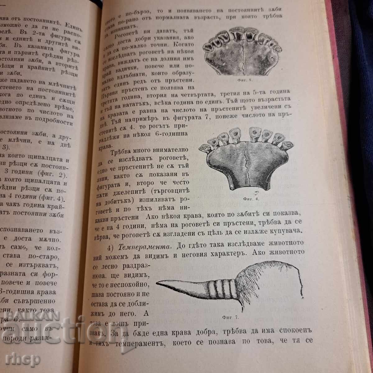 1891 κατασκευή του Αλ. Νέφσκι + γεωργικές εκθέσεις και άλλα - 7