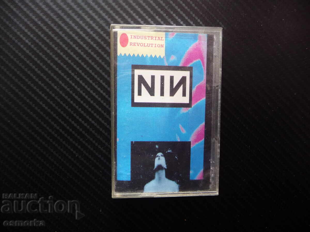 Nine Inch Nails Pretty hate machine Industrial revolution ro