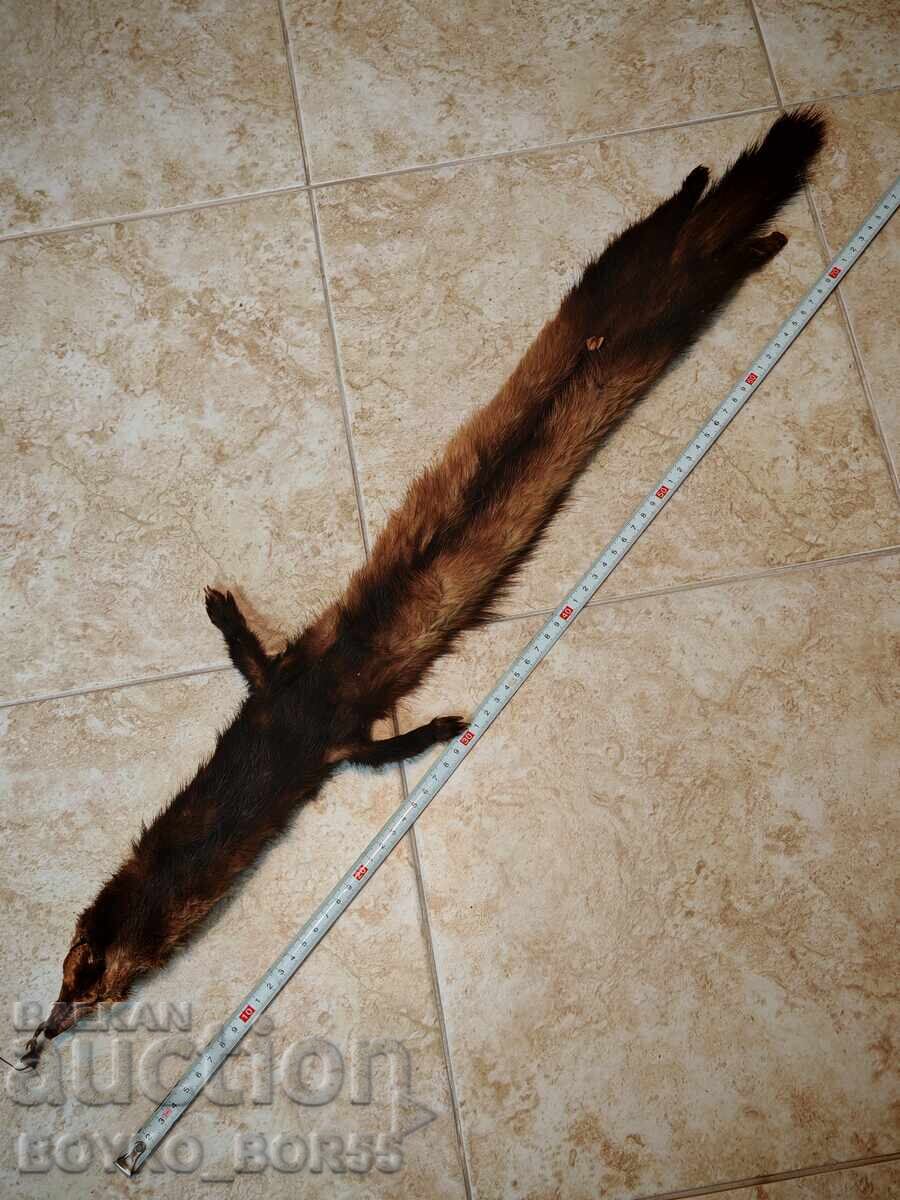 Livrarea Două Piele Prelucrate de Nurcă, Stare Excelentă