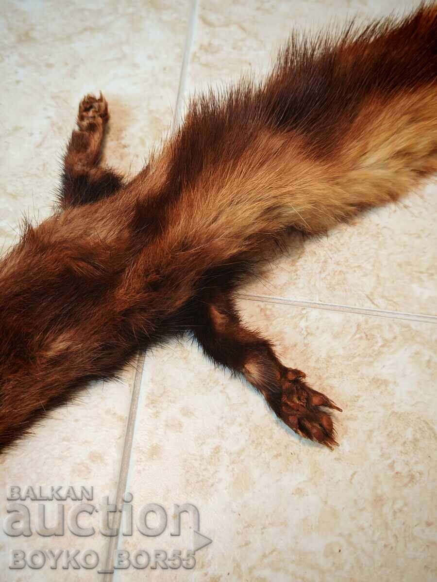 Două Piele Prelucrate de Nurcă, Stare Excelentă - 7