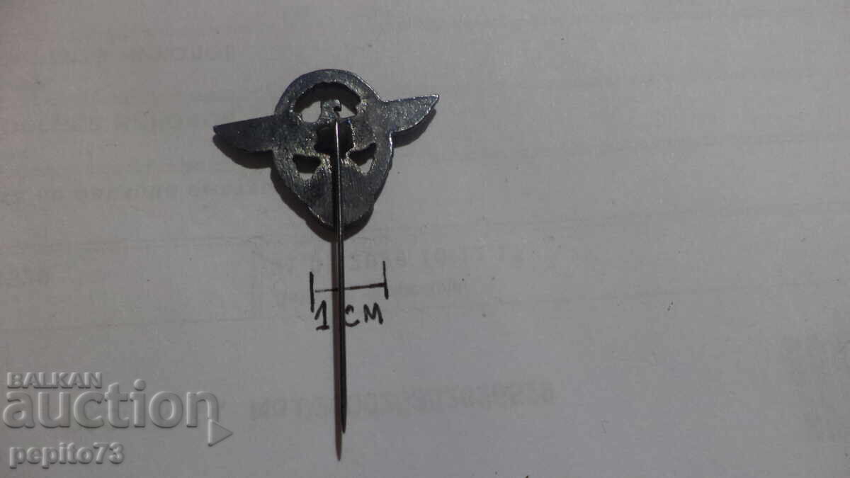 Значка Германия,военна значка - 5