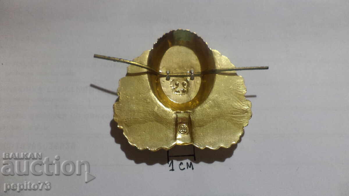 Livrarea Cocarda rusească, Procuratura rusă