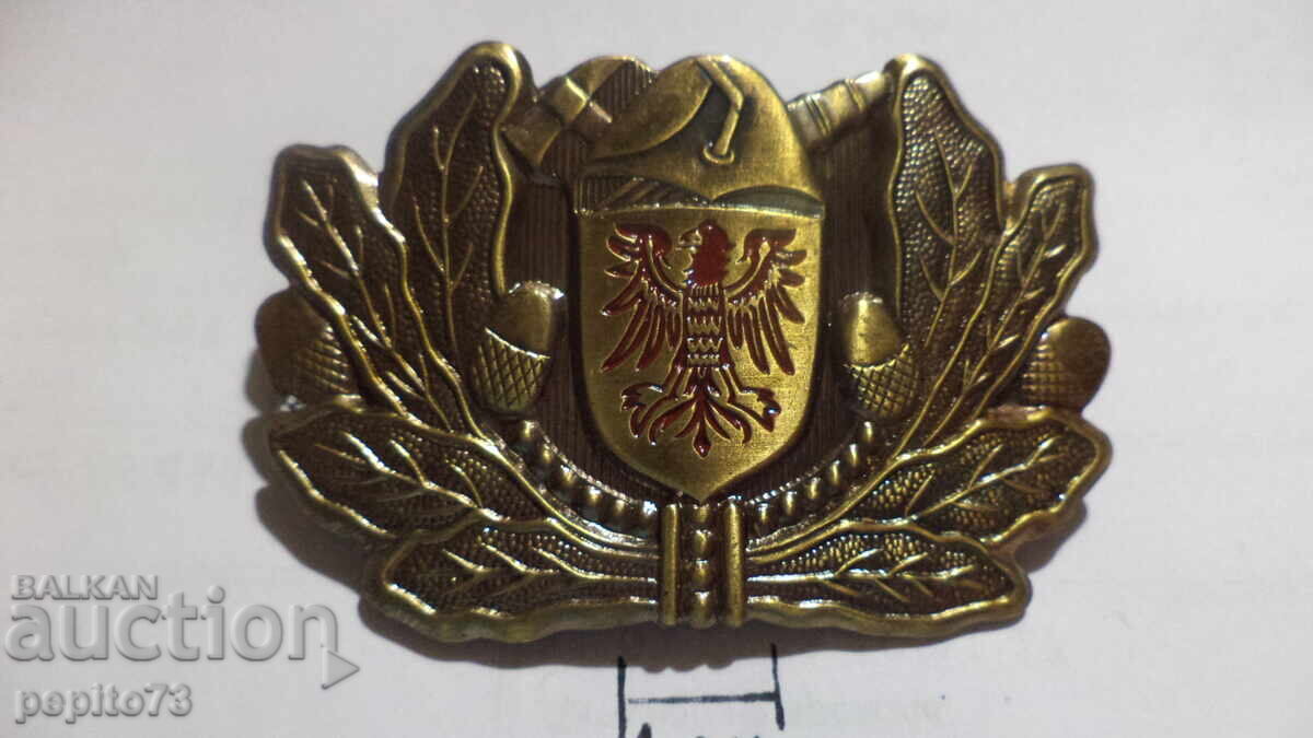 Cocarda germană Brandenburg cu preț € 7.00 | 13.69 BGN