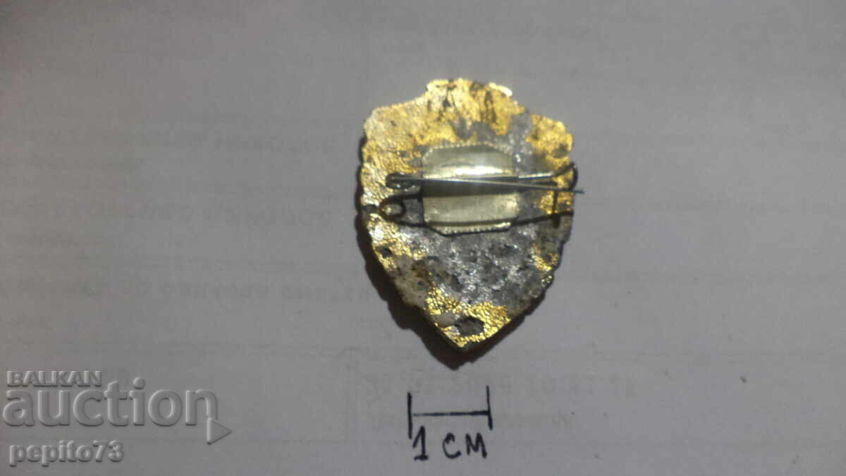 Σημάδι στήθους, άριστος της Πολεμικής Αεροπορίας της ΕΣΣΔ - 5