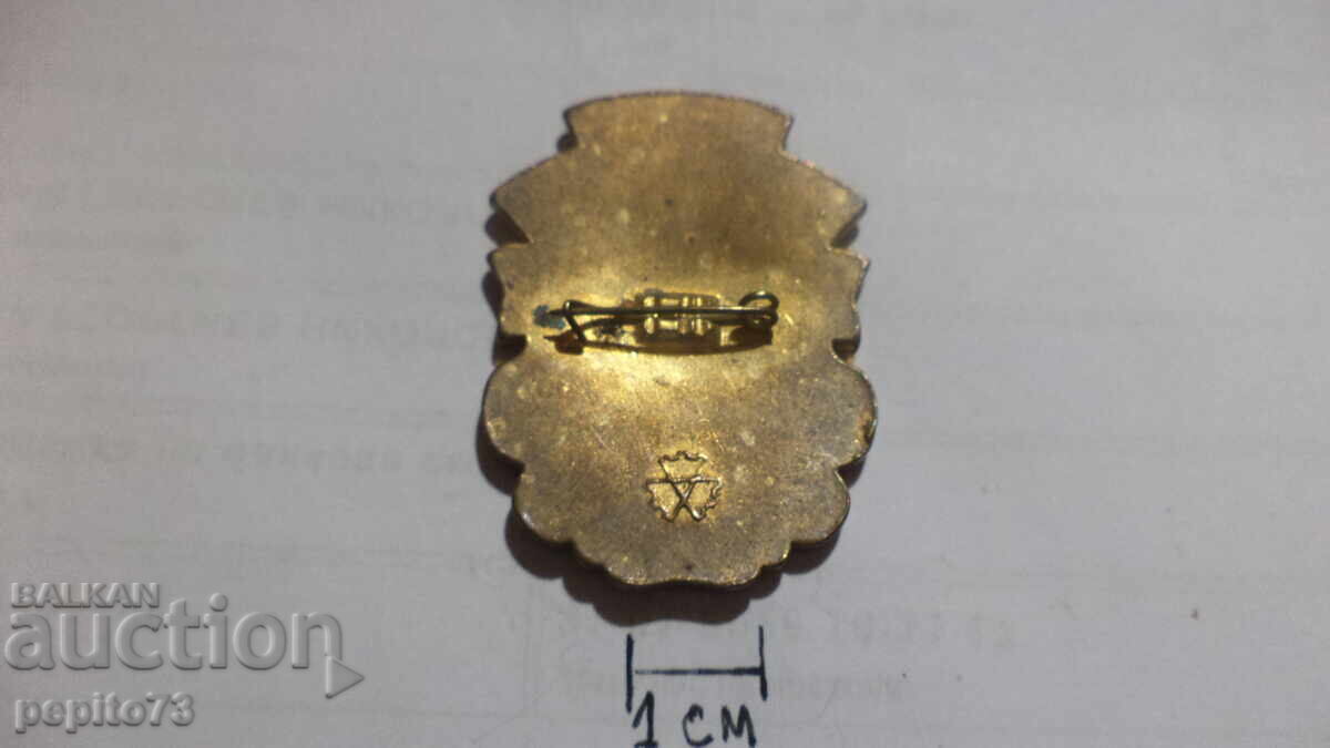 Σημάδι στήθους, 50 χρόνια από την απελευθέρωση - 5