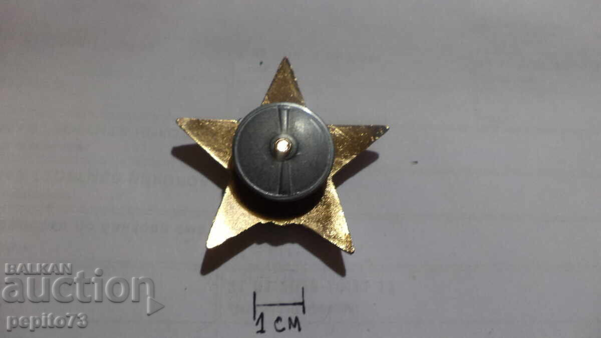 Livrarea Insignă piept, stea roșie