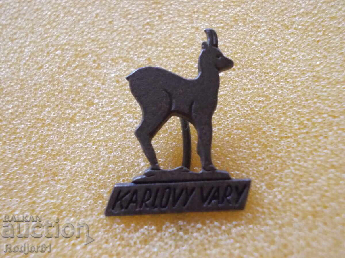 Delivery of Pins - Cities Czech Republic - Karlovy Vary
