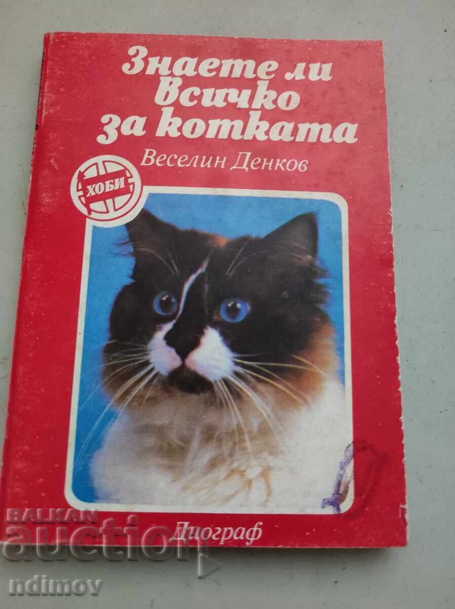 Do you know everything about the cat?