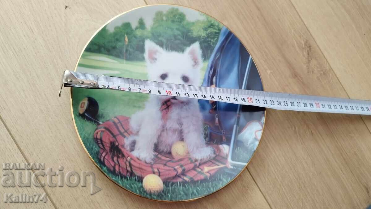 Колекционерска порцеланова чиния за стена. с цена € 11.50 | 22.49 лв. Колекционерска порцеланова чиния за стена. с цена € 11.50 | 22.49 лв.