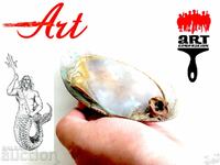 Huge white sand clam (Mya arenaria) Mother-of-pearl