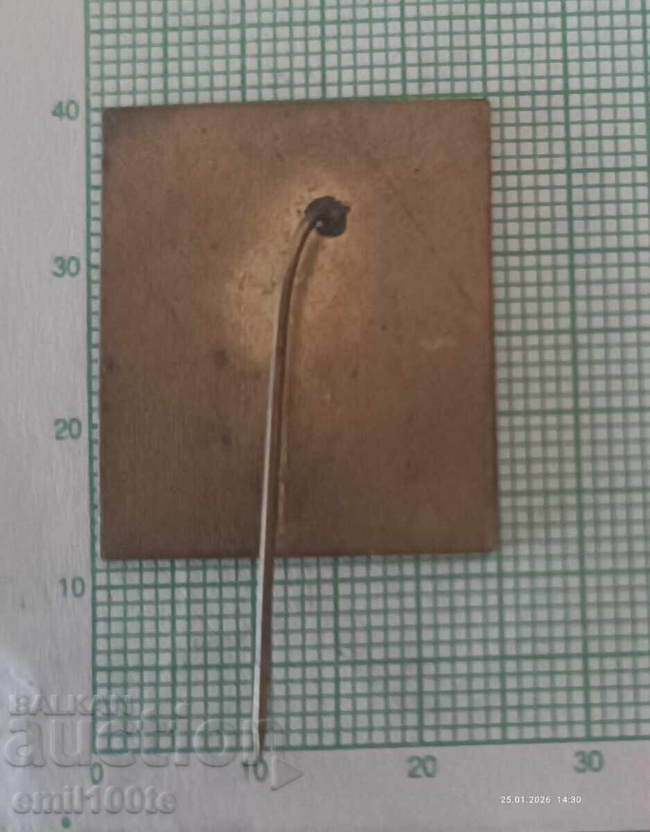 Insigna - Varna 76 ? - 6