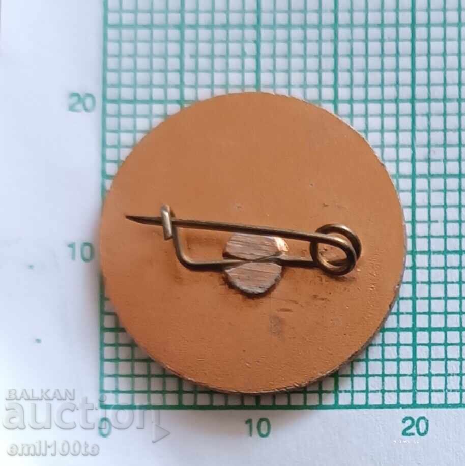 Значка- Учебен Ветроход Асенъ - 5