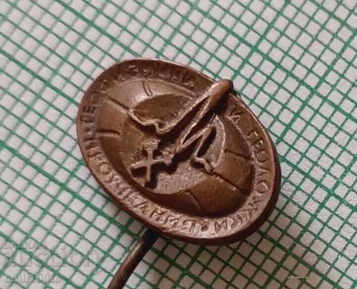 Licitație Insigna - Studii geofizice și geologice