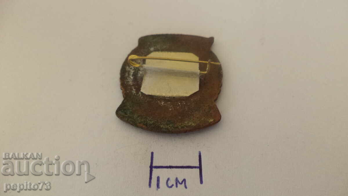 Emblemă, rangul doi, sportivă - 5