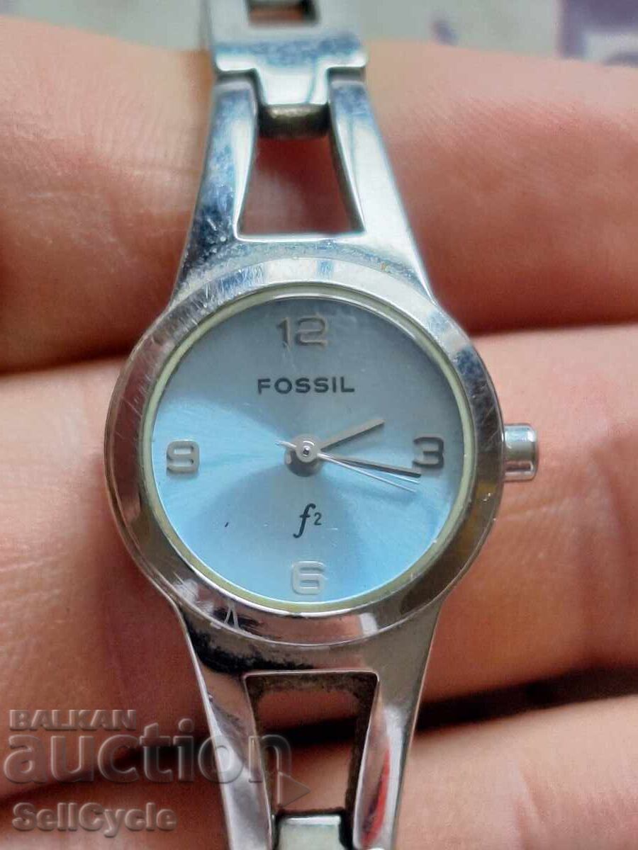 ✅CEAS FOSSIL❗