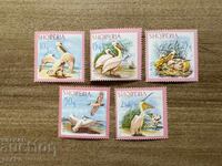 Αλβανία - Πουλιά - Κουτσοκέφαλος Πελεκάνος (1967) MNH