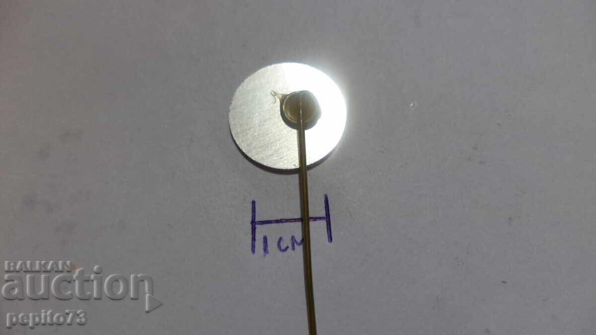 Insigna publicitară, TBV, fundație pentru persoane cu dizabilități - 5 Insigna publicitară, TBV, fundație pentru persoane cu dizabilități - 5