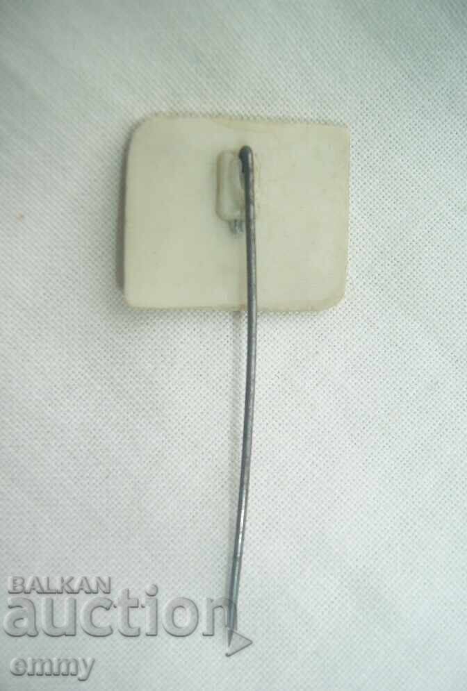 Auction  Sport badge - Skiing 1963, plastic