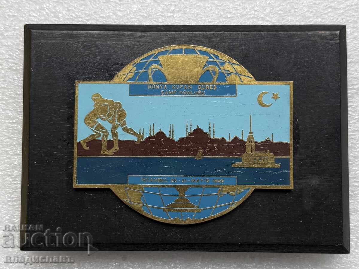 Campionatul de lupte Istanbul 1956