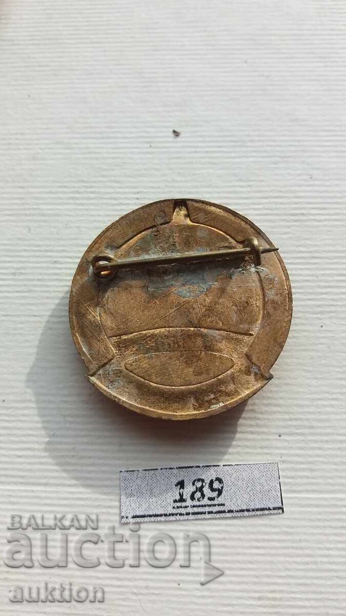 ΣΤΡΑΤΙΩΤΙΚΟ ΣΗΜΑ - ΤΣΕΧΙΑ - ΧΑΛΚΙΝΟ ΣΜΑΛΤΟ - 5