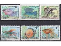 Clean Fauna Fish Stamps 1993 from Bulgaria