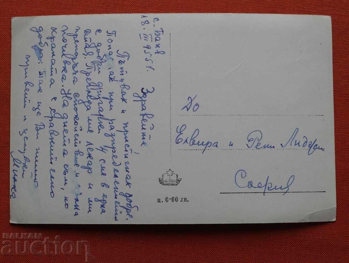 C. Baia-Baia cu preț € 0.50 | 0.98 BGN