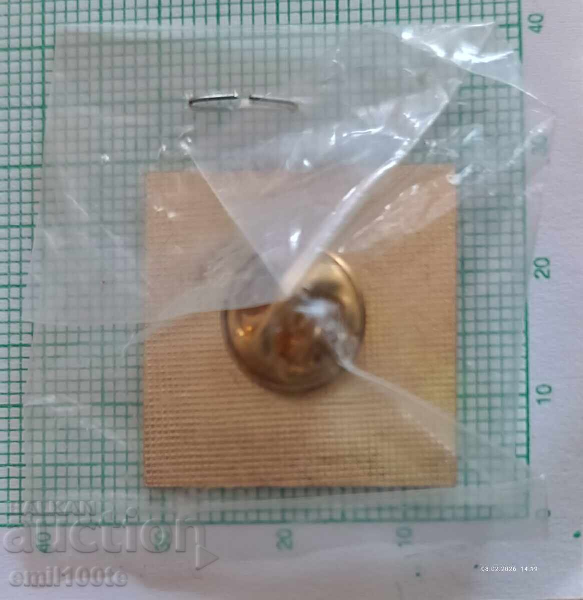 Campionatul Mondial de Fotbal Franța 98 - 5