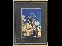 Fotografie de autor Lyubomir Klisurov 1997