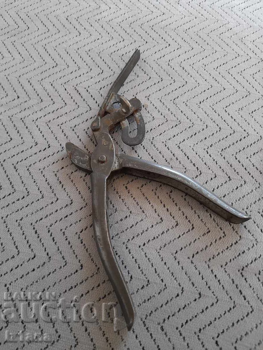 Clești vechi de plop