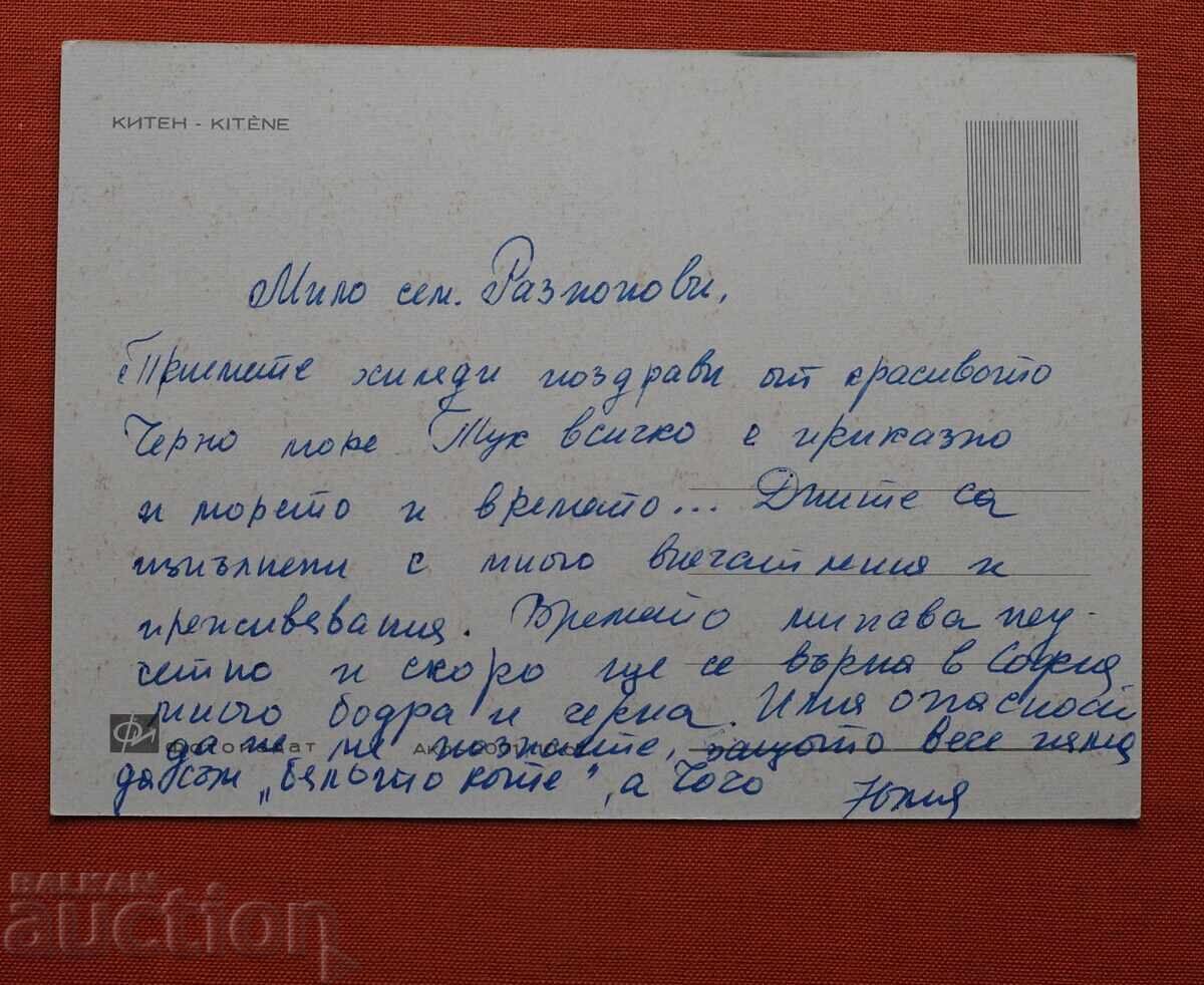 Pisoi cu preț € 1.00 | 1.96 BGN