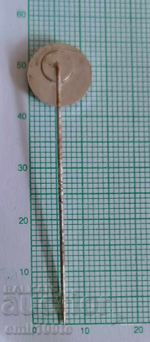 Livrarea Emblemă - Clubul de fotbal Schalke 04 Livrarea Emblemă - Clubul de fotbal Schalke 04