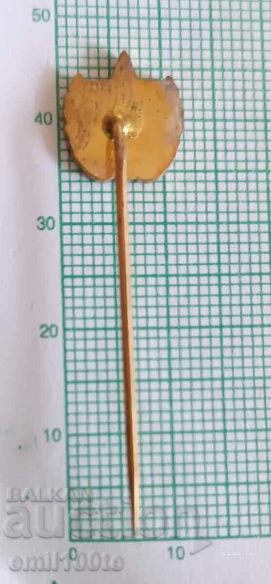 Livrarea Emblemă - Clubul de fotbal Steaua Roșie Praga Ruda hvezda