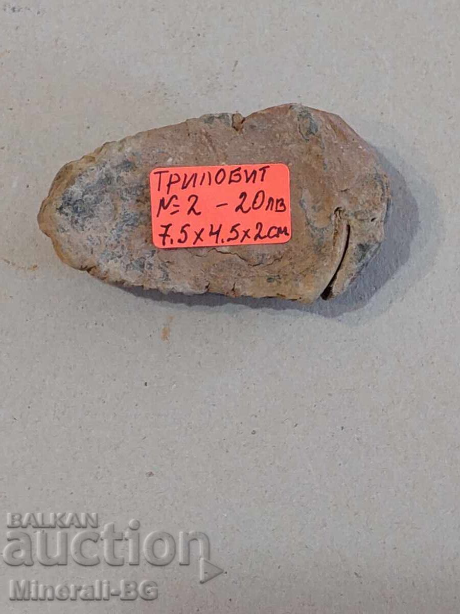 Трилобит с цена € 9.91 | 19.38 лв.