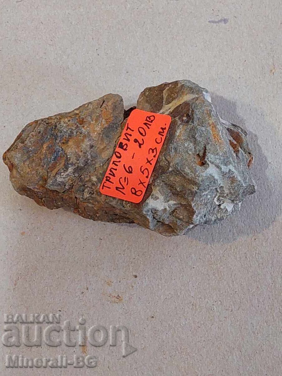 Τριλοβίτης με τιμή € 10.00 | 19.56 BGN