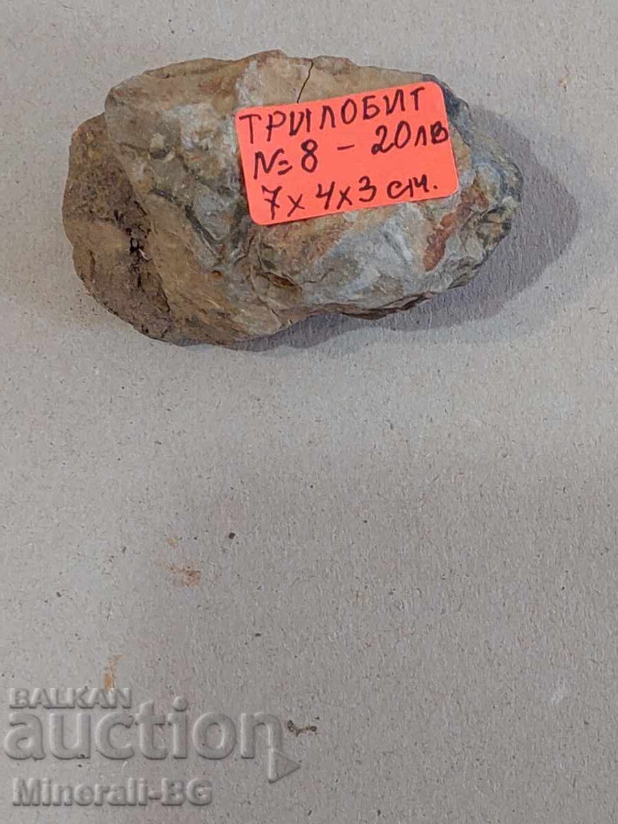 Τριλοβίτης με τιμή € 9.00 | 17.60 BGN