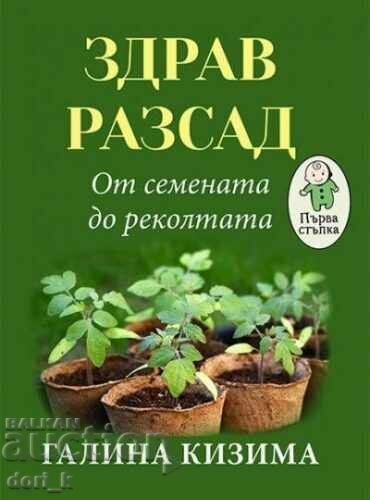 Healthy seedling. From seeds to harvest Healthy seedling. From seeds to harvest