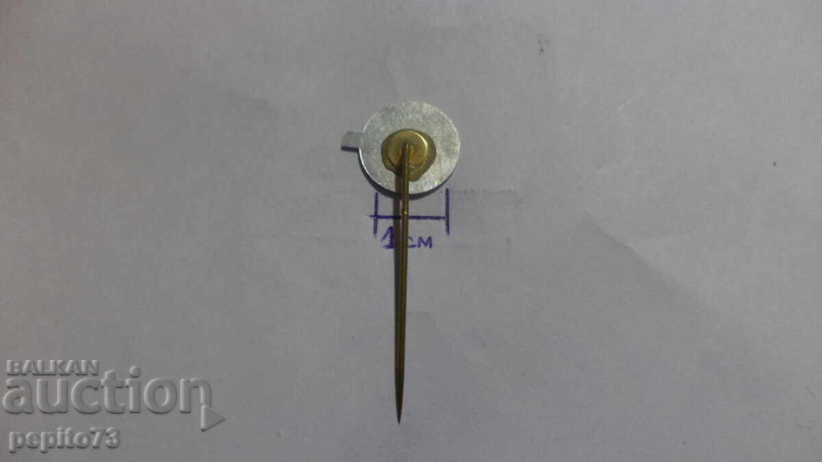 Livrarea Insigna publicitară CENTRA, logo magazine alimentare