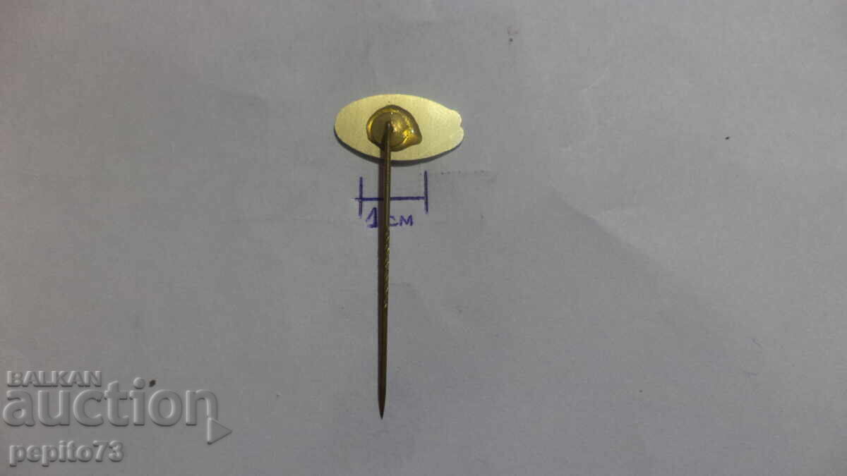 Livrarea Znachka reklamă Enkabe, lanț de magazine