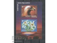 Конференция Околна среда за Европа