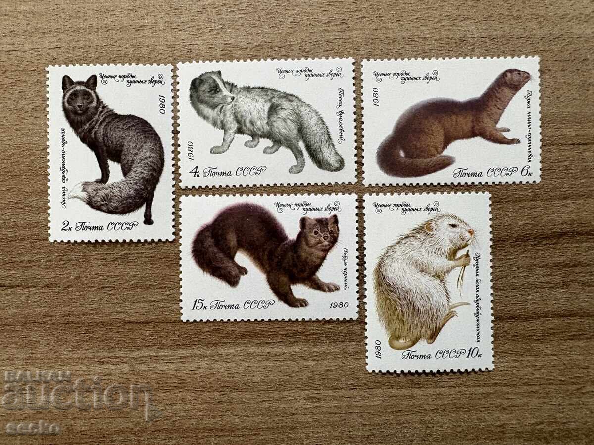URSS - Animale cu blană valoroasă (1980) MNH