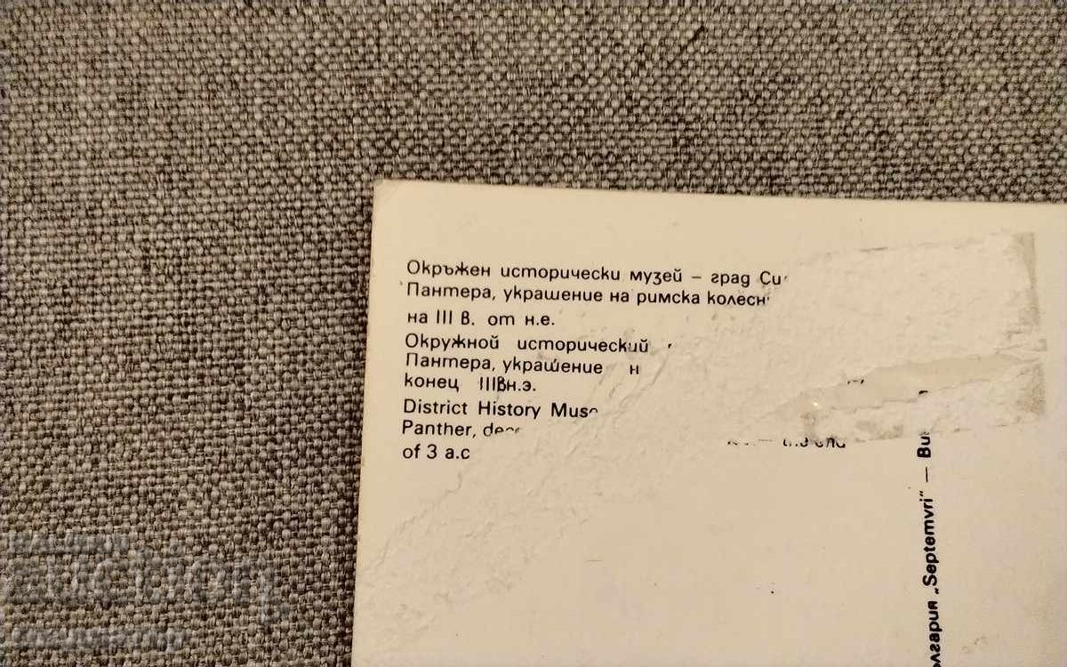 Carte poștală Silistra Muzeul de Istorie panteră arheologie cu preț € 0.20 | 0.39 BGN